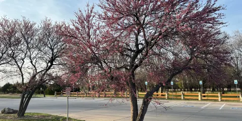 Great Plains Nature Center
