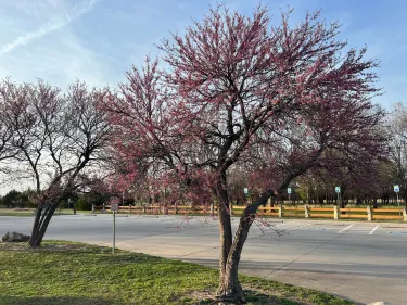 Great Plains Nature Center