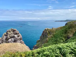 Cap Fréhel