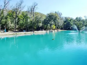 Bosque de las Truchas