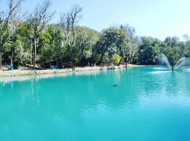 Bosque de las Truchas