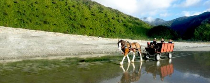 Golden Sands Horse And Wagon Tours
