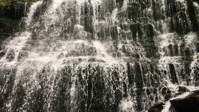 Short Springs Natural Area