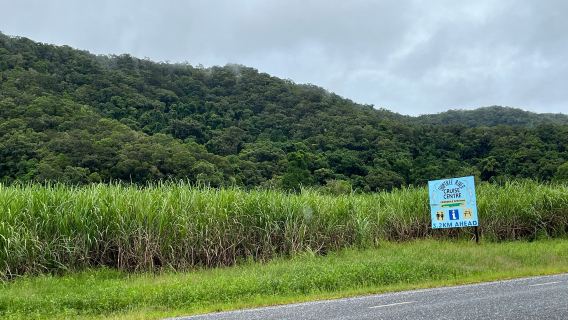 Daintree River Cruise Centre