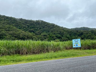 Daintree River Cruise Centre