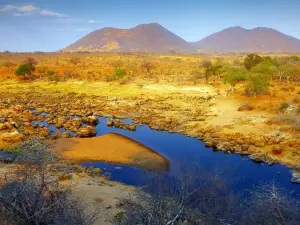 Ruaha National Park
