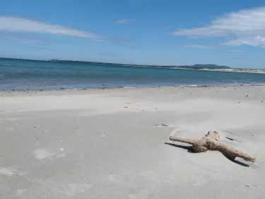 Shallow Bay Beach