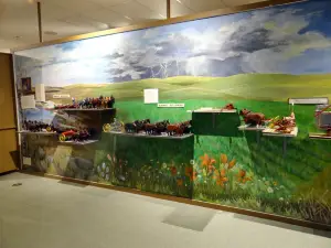 Biggar Museum & Gallery