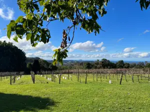Flame Hill Vineyard