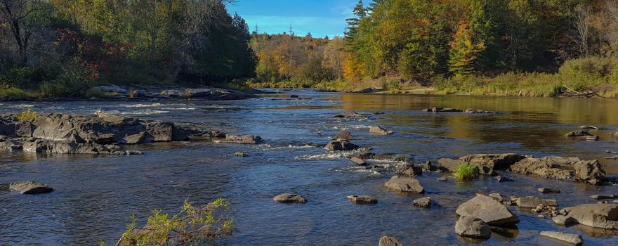 Plaisance Provincial Park