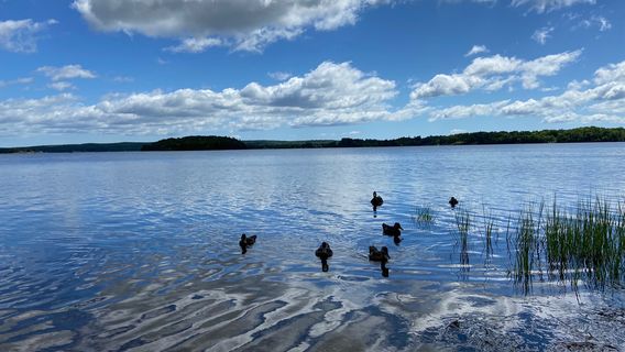 Mira River Provincial Park