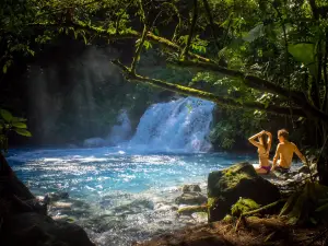 Sensoria "Land of Senses and Magical rainforest"