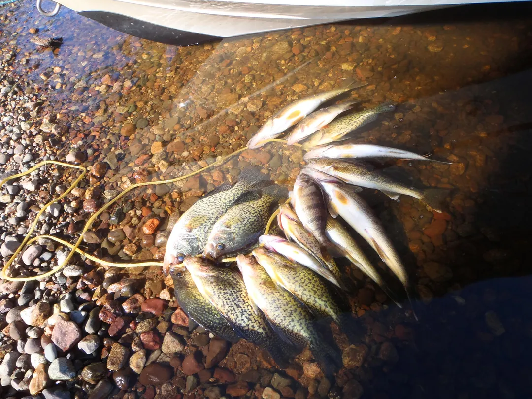 4_Bobber Down Guide Service