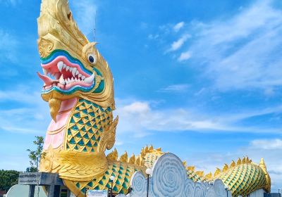 Mueang Yasothon District