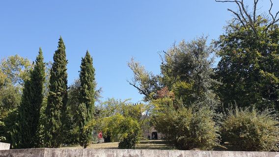 Guimaraes
