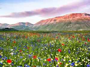 Parco Nazionale dei Monti Sibillini