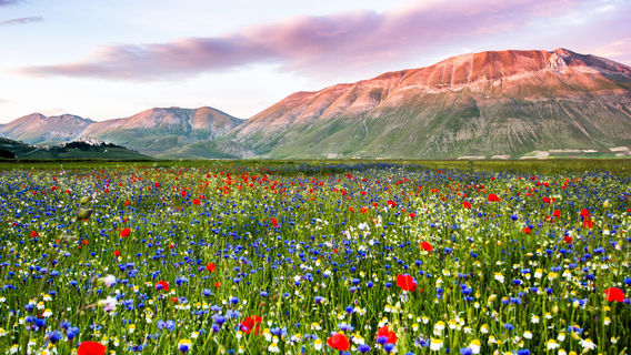 Parco Nazionale dei Monti Sibillini