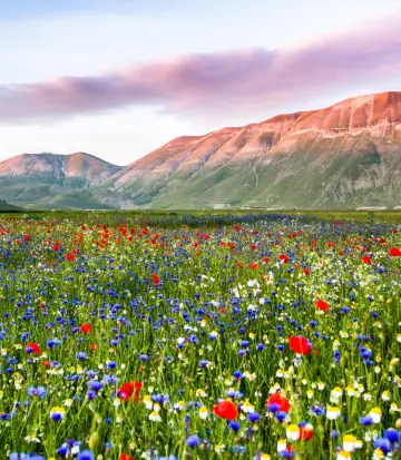 Provincia di Macerata