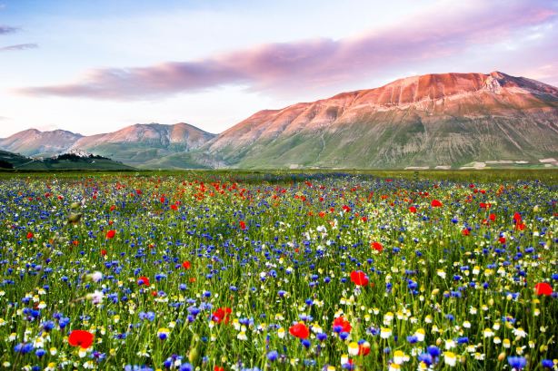 Parco Nazionale dei Monti Sibillini