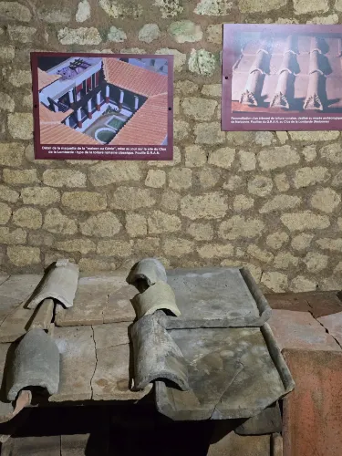 Roman Granary Museum