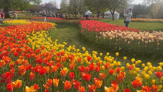 Window on the Waterfront