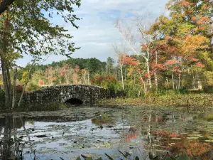 Mass Audubon's Ipswich River Wildlife Sanctuary