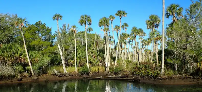 Hotels in Hernando County