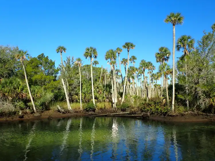 Hotels in Hernando County