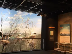 Urahorocho Museum