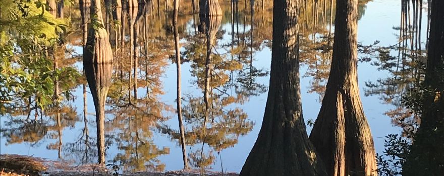 Mill Pond Kayak, LLC