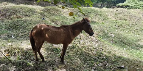 巧克力園刺激主題公園