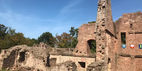 Chateau du Wangenbourg