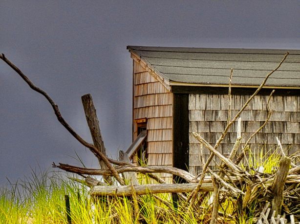 Dune Shacks Trail
