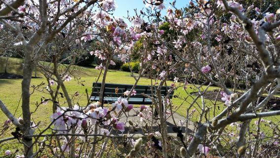 Picton Botanic Gardens
