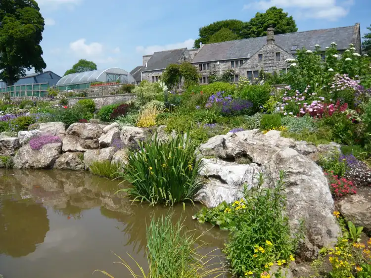 Bonsall