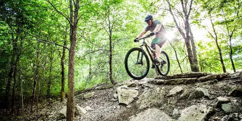 Rowlett Creek Perserve