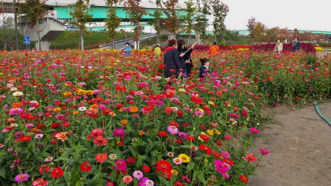 3_Guri Hangang Park