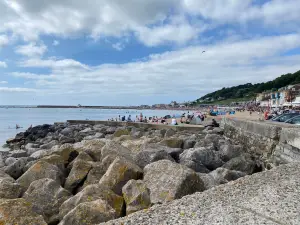 Lyme Regis Beach