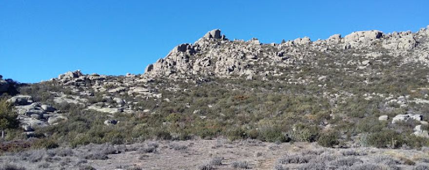 Reguerilla Park
