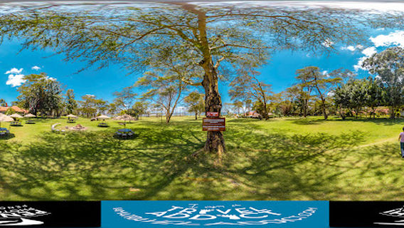 Lake naivasha resort