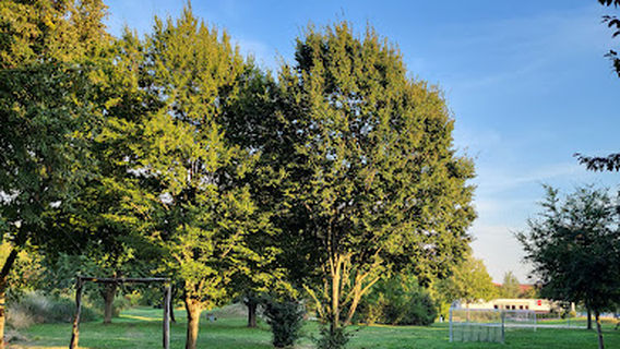 Freizeitpark an der Alpe