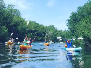 Kayak Tours & Rentals- Black Sand Kayaks