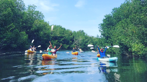 Kayak Tours & Rentals- Black Sand Kayaks