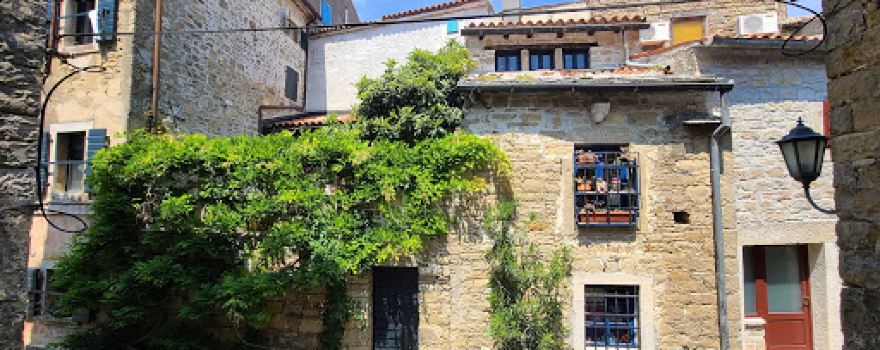 Viewpoint Buzet