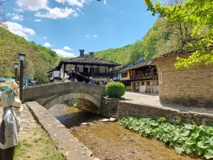 Ethno village Etar