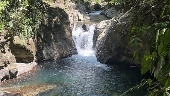 Salto las pavas