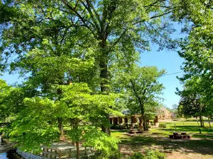 Spring Park