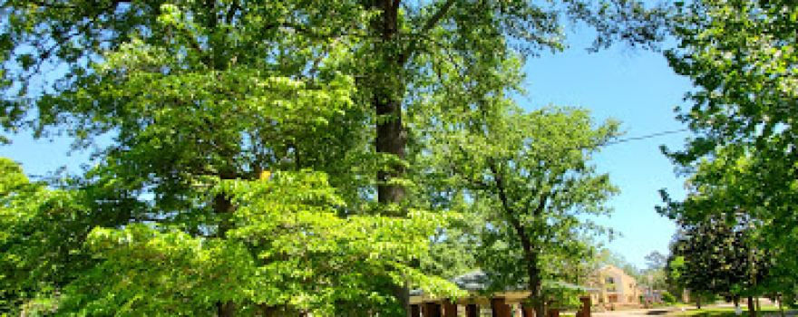Spring Park
