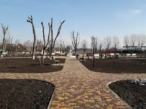Stadion