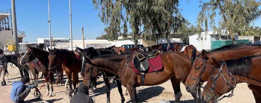 Equestrian Sports Club